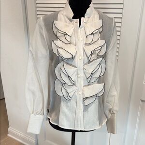 Elegant Sheer Blouse with Ruffle Details